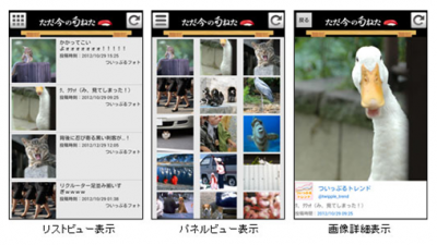 ねたっぷる