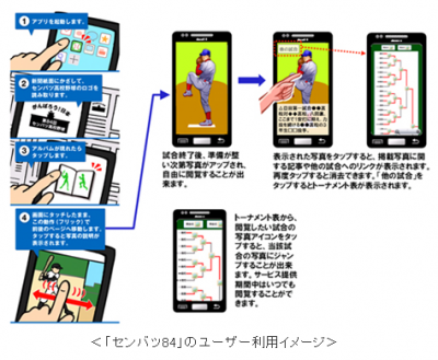 センバツ84